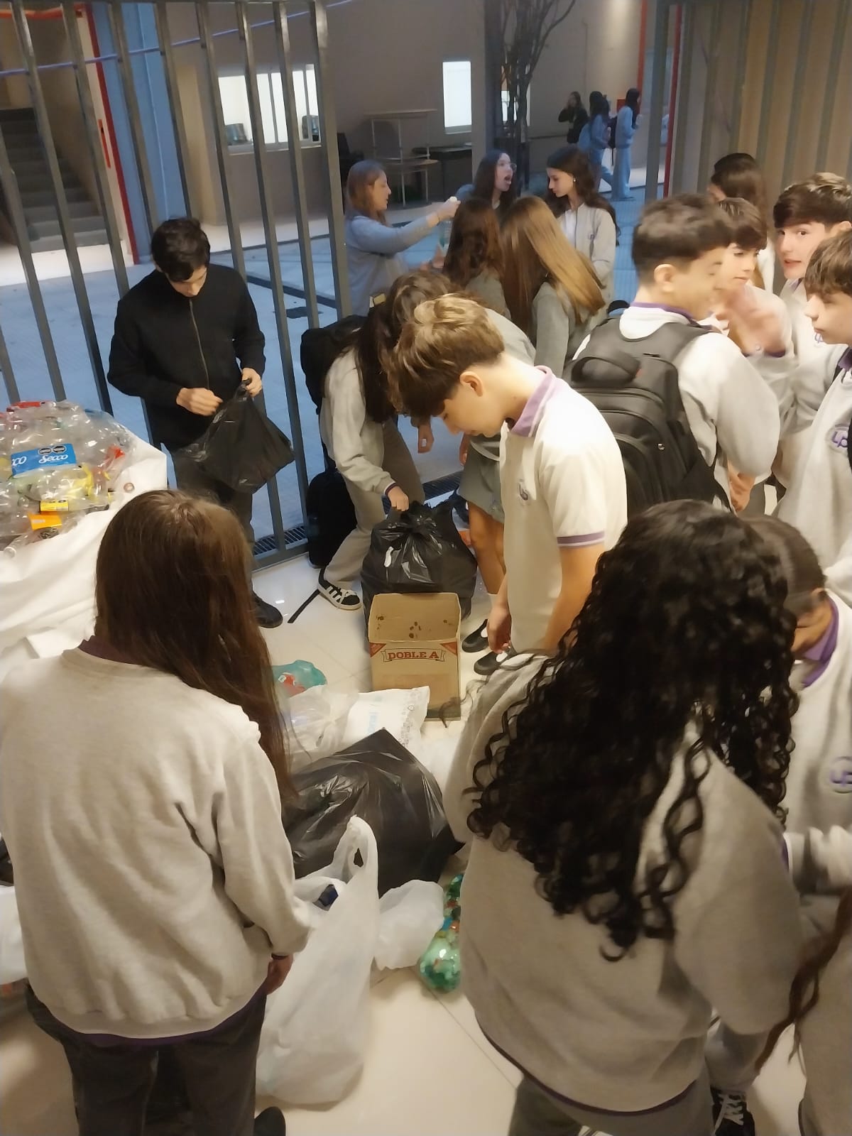 Reciclar para un mundo sano (Proyecto escolar)